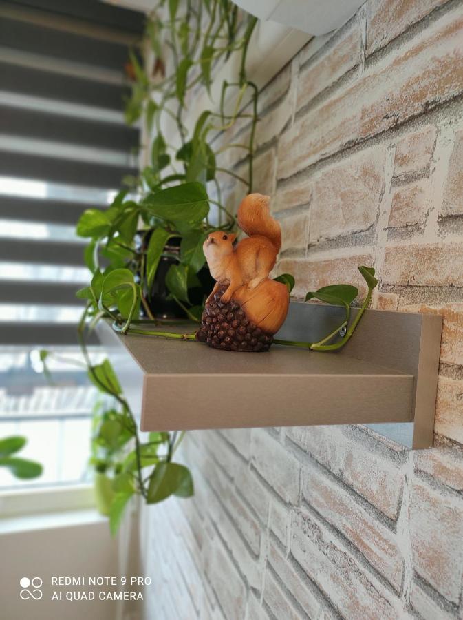 Baross Apartman Kaposvár 外观 照片