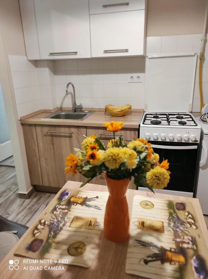 Baross Apartman Kaposvár 外观 照片